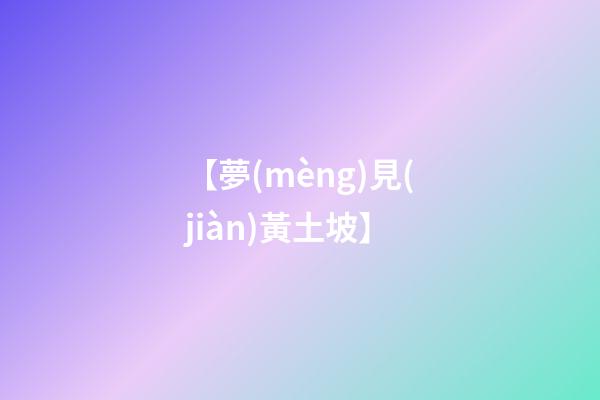 【夢(mèng)見(jiàn)黃土坡】