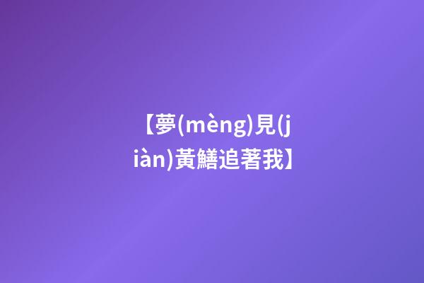 【夢(mèng)見(jiàn)黃鱔追著我】