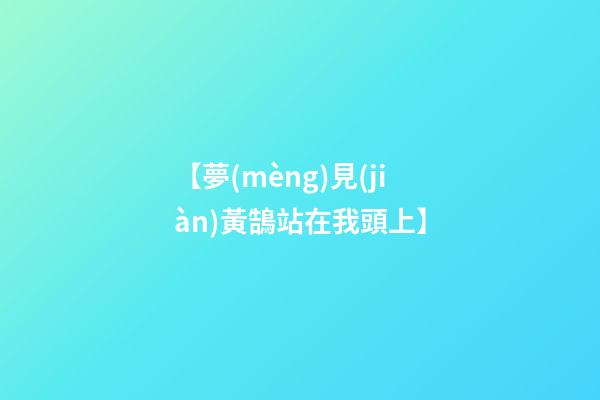 【夢(mèng)見(jiàn)黃鵠站在我頭上】