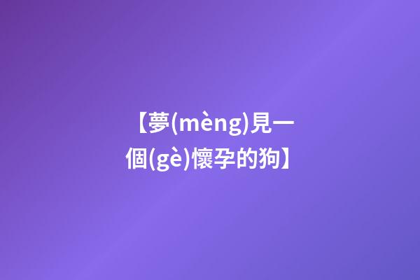 【夢(mèng)見一個(gè)懷孕的狗】