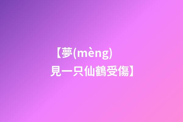 【夢(mèng)見一只仙鶴受傷】