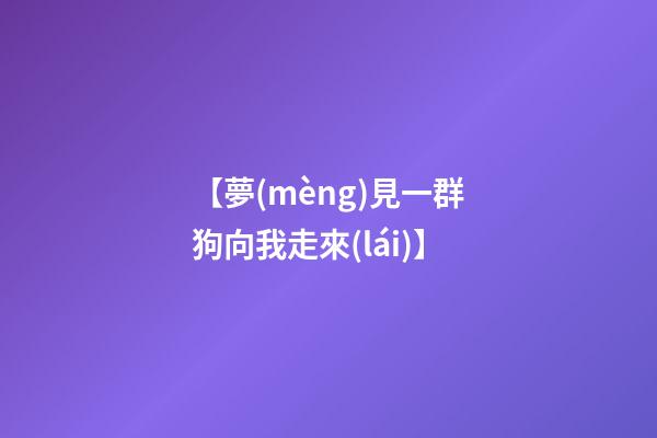 【夢(mèng)見一群狗向我走來(lái)】