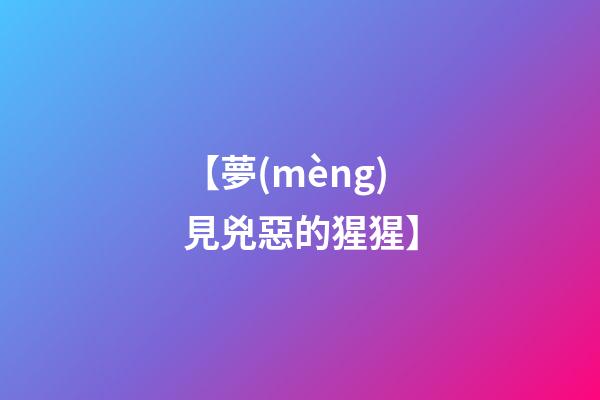 【夢(mèng)見兇惡的猩猩】
