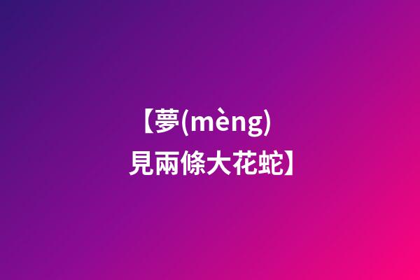【夢(mèng)見兩條大花蛇】