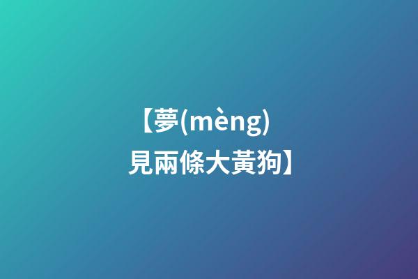 【夢(mèng)見兩條大黃狗】