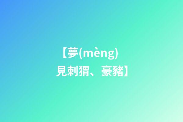 【夢(mèng)見刺猬、豪豬】