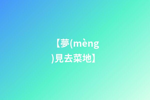 【夢(mèng)見去菜地】