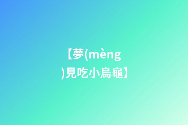 【夢(mèng)見吃小烏龜】