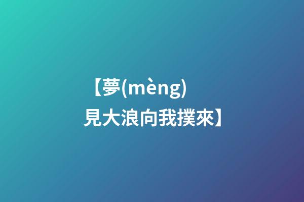 【夢(mèng)見大浪向我撲來】