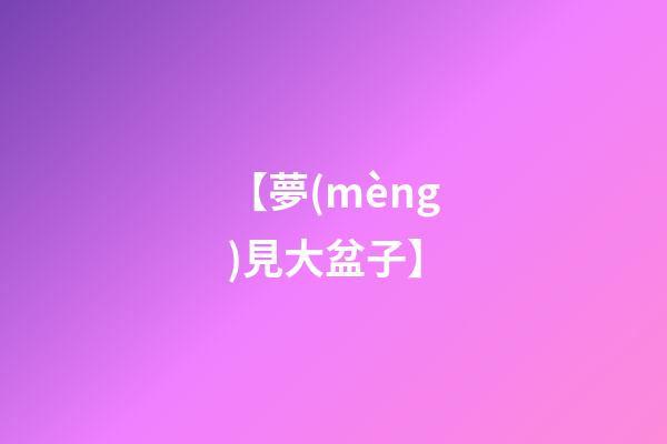 【夢(mèng)見大盆子】