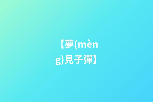【夢(mèng)見子彈】