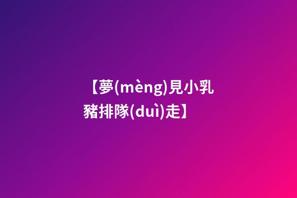 【夢(mèng)見小乳豬排隊(duì)走】
