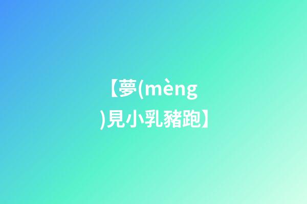 【夢(mèng)見小乳豬跑】