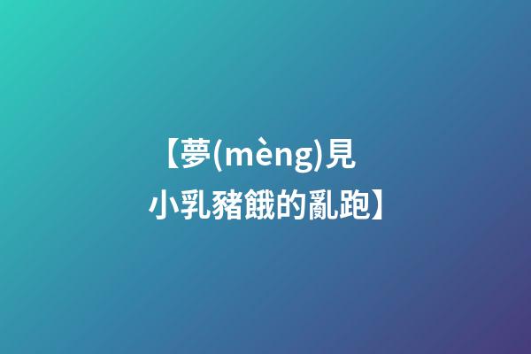 【夢(mèng)見小乳豬餓的亂跑】