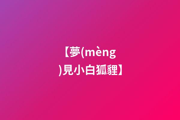 【夢(mèng)見小白狐貍】