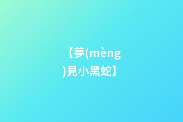 【夢(mèng)見小黑蛇】