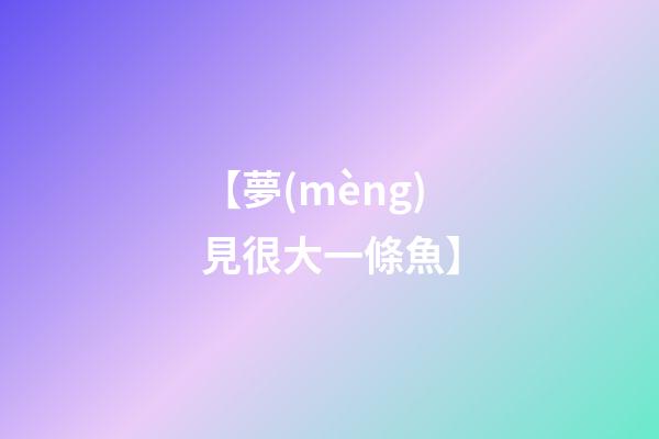 【夢(mèng)見很大一條魚】