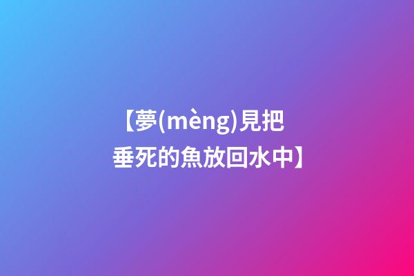 【夢(mèng)見把垂死的魚放回水中】
