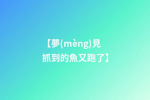 【夢(mèng)見抓到的魚又跑了】