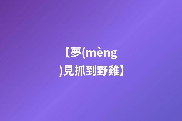 【夢(mèng)見抓到野雞】