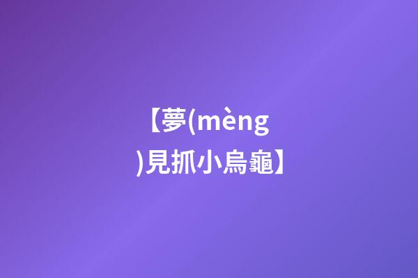 【夢(mèng)見抓小烏龜】