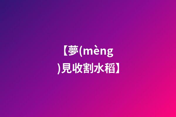 【夢(mèng)見收割水稻】