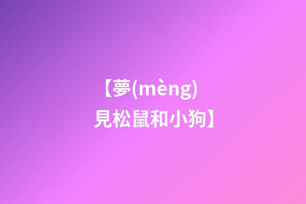 【夢(mèng)見松鼠和小狗】