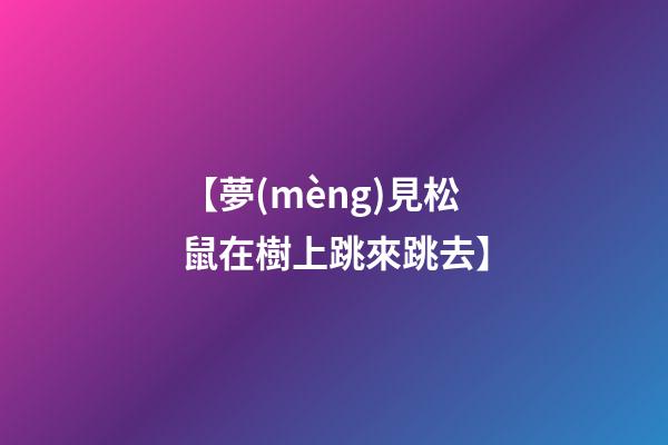 【夢(mèng)見松鼠在樹上跳來跳去】