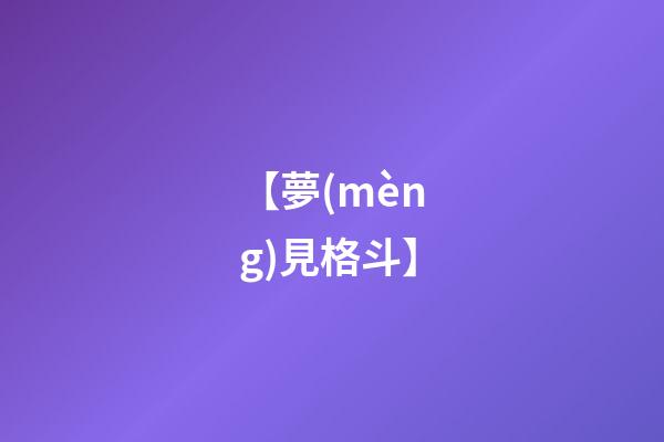 【夢(mèng)見格斗】