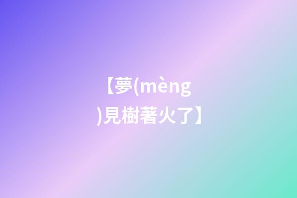 【夢(mèng)見樹著火了】