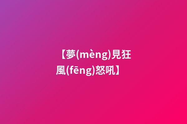 【夢(mèng)見狂風(fēng)怒吼】