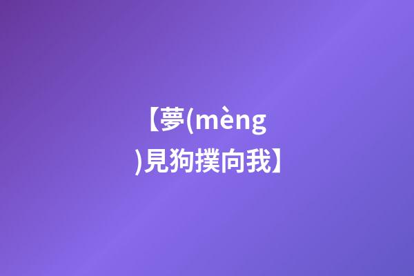 【夢(mèng)見狗撲向我】