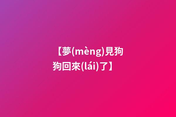 【夢(mèng)見狗狗回來(lái)了】