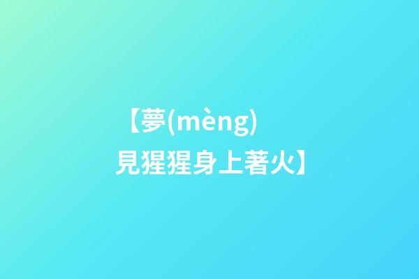 【夢(mèng)見猩猩身上著火】