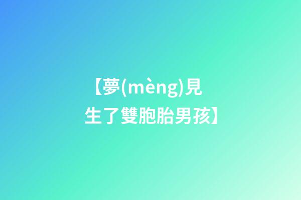 【夢(mèng)見生了雙胞胎男孩】