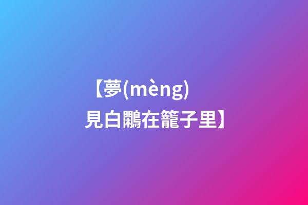 【夢(mèng)見白鷴在籠子里】