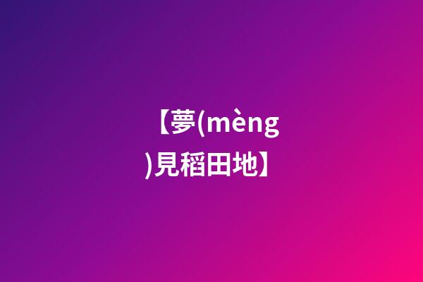 【夢(mèng)見稻田地】