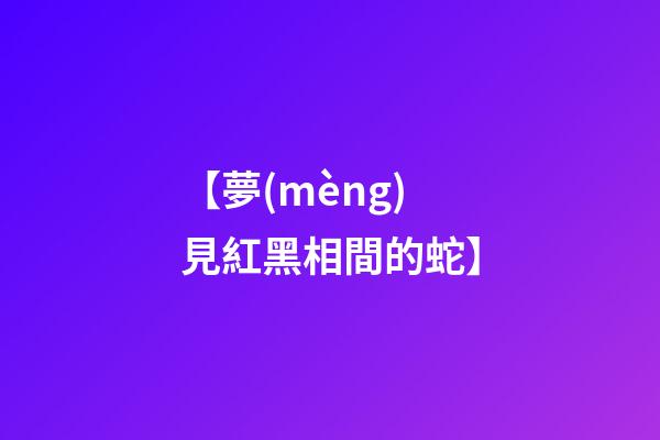 【夢(mèng)見紅黑相間的蛇】