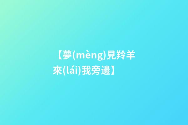 【夢(mèng)見羚羊來(lái)我旁邊】