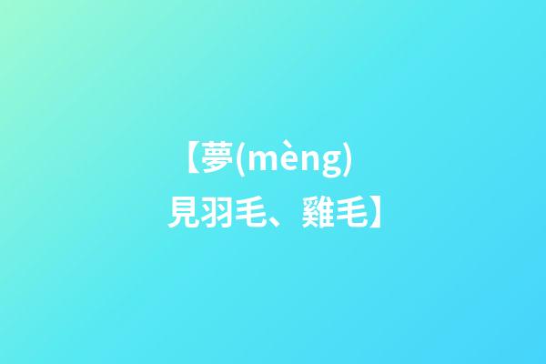 【夢(mèng)見羽毛、雞毛】