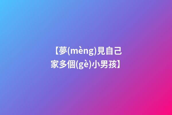 【夢(mèng)見自己家多個(gè)小男孩】
