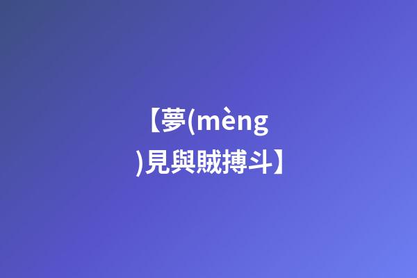 【夢(mèng)見與賊搏斗】