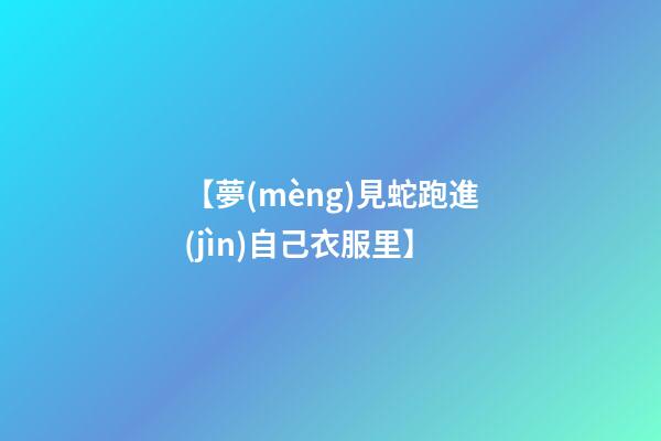 【夢(mèng)見蛇跑進(jìn)自己衣服里】