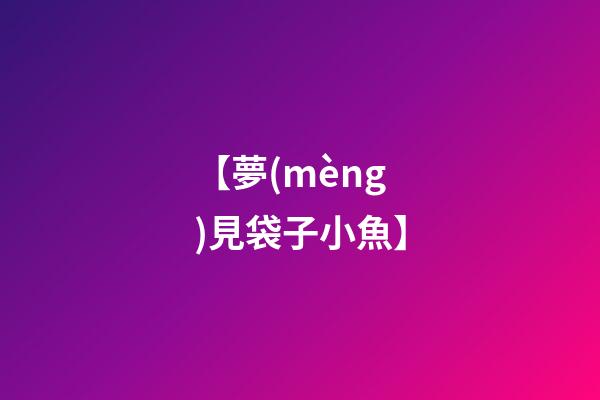 【夢(mèng)見袋子小魚】