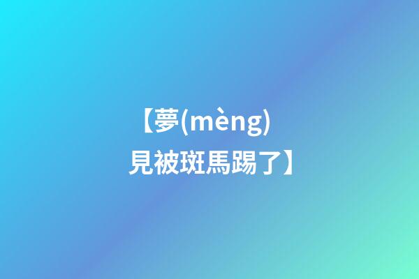 【夢(mèng)見被斑馬踢了】
