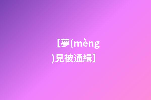 【夢(mèng)見被通緝】