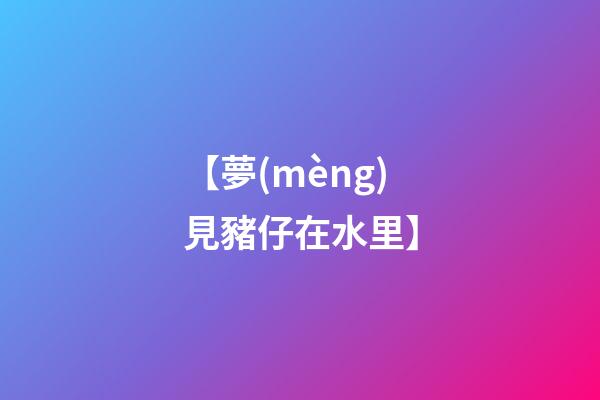 【夢(mèng)見豬仔在水里】