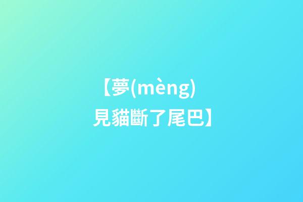 【夢(mèng)見貓斷了尾巴】