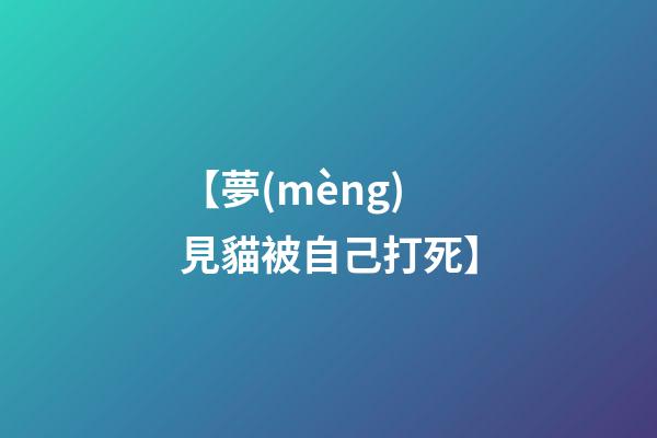 【夢(mèng)見貓被自己打死】