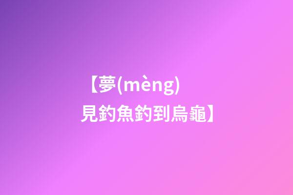 【夢(mèng)見釣魚釣到烏龜】